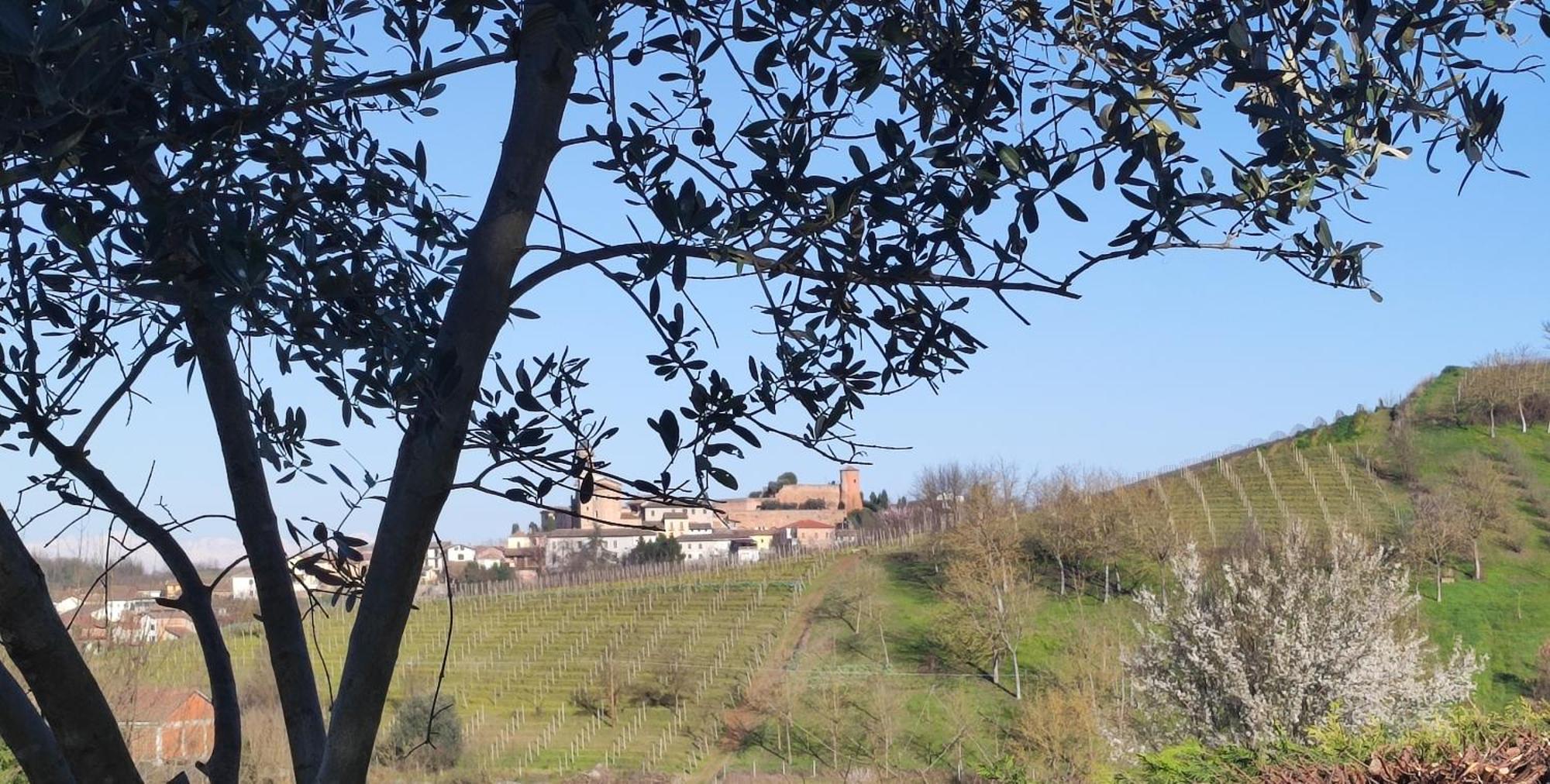 Villa Casa San Rocco Castelnuovo  Exterior foto